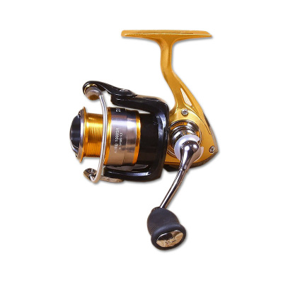 katushka_daiwa_aird_1_b